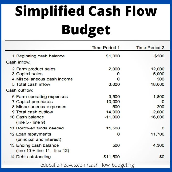 Cash flow manage pro like larger