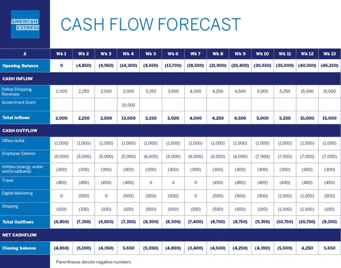 Cash flow forecast template business use step guide